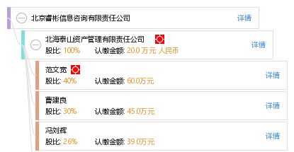 北京睿彬信息咨詢有限責(zé)任公司 引領(lǐng)信息技術(shù)咨詢服務(wù)新篇章